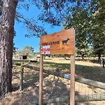 Mobil-home 6 Personnes 3 Кемпинг La Boissiere-de-Montaigu