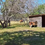 Mobil-home 6 Personnes 3 Кемпинг