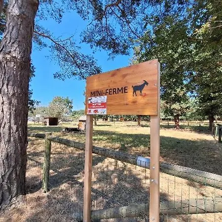 Mobil-home 6 Personnes 3 Campingplatz La Boissiere-de-Montaigu