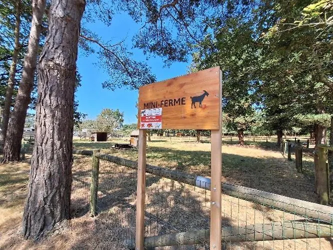 Mobil-home 6 Personnes 3 Camping La Boissiere-de-Montaigu