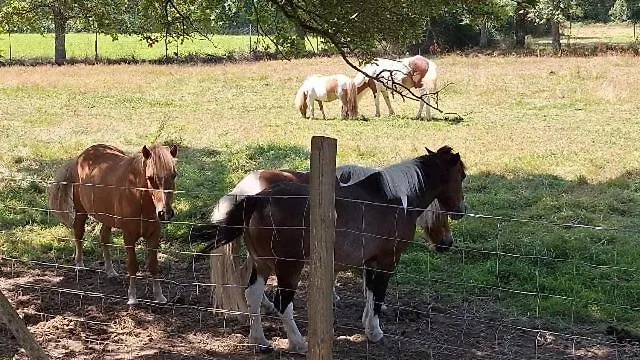 Κάμπινγκ Mobil-home 6 Personnes 3 La Boissiere-de-Montaigu